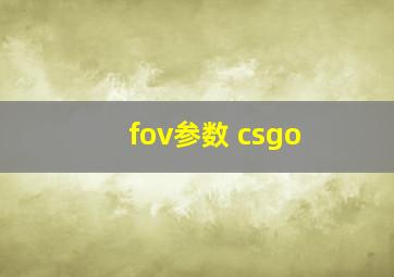 fov参数 csgo